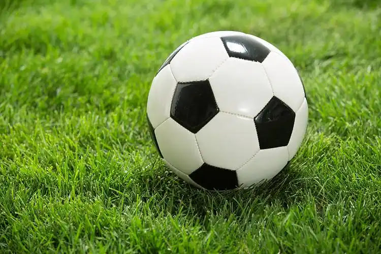 球探足球比分比app使用流程示意图